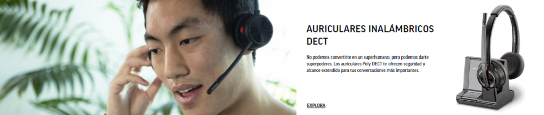 Banner_dect